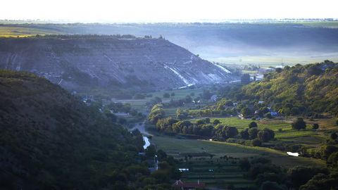 Top Hill Stations Near Bengaluru: Complete Travel Guide to the Best Weekend Getaways