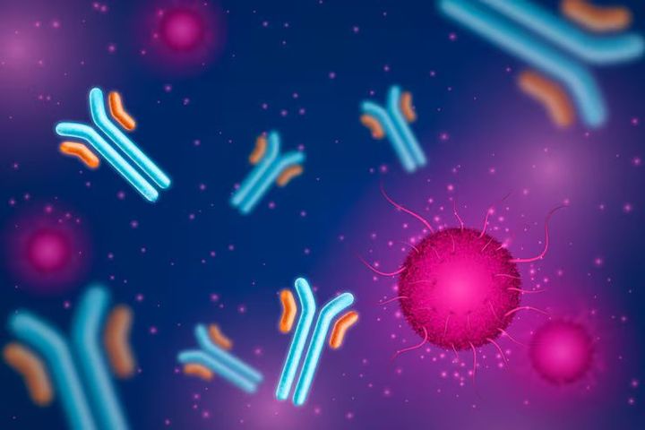 Antibody Production Explained: Advanced Biomanufacturing Technologies and Biotechnology Applications