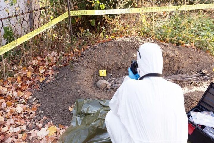 Termite Inspection Services Explained: Property Protection Solutions, Detection Methods and Pest Management Applications