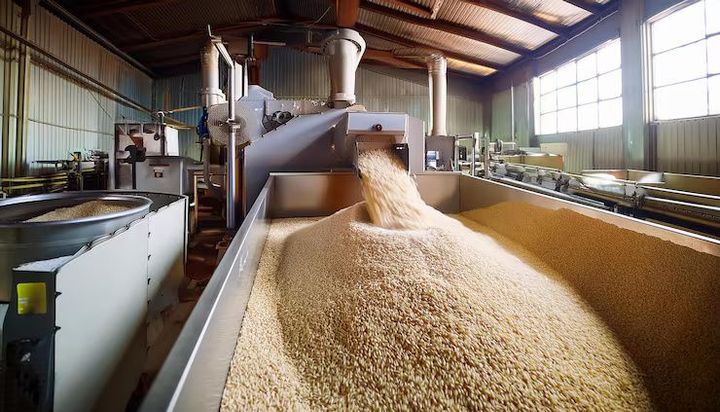 Rice Processing Machinery Explained: 7 Machine Types, Processing Technologies, Manufacturing Equipment and Industrial Applications