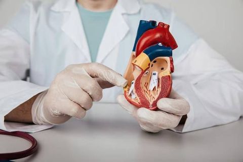 Heart Disease Prevention Explained: Cardiovascular Risk Factors, Healthy Lifestyle Habits, Early Warning Signs and Heart Health Strategies